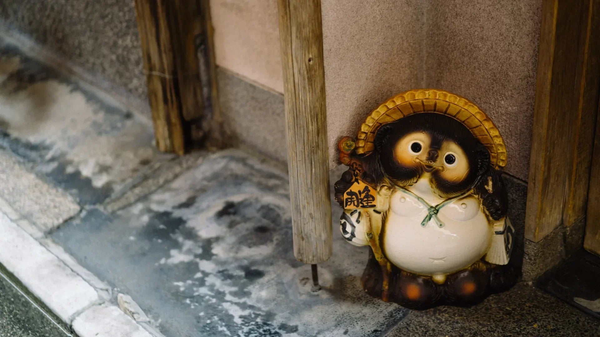 Nothing About That Tanuki Is Random