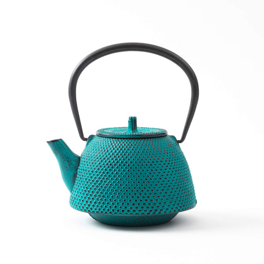 Classic Arare Sky Blue Nanbu Cast Iron Teapot, front view showing intricate dot texture and curved spout.