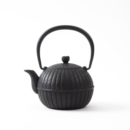 Elegant Japanese Aster Black Nanbu Cast Iron Teapot with a textured surface and a gracefully curved handle.