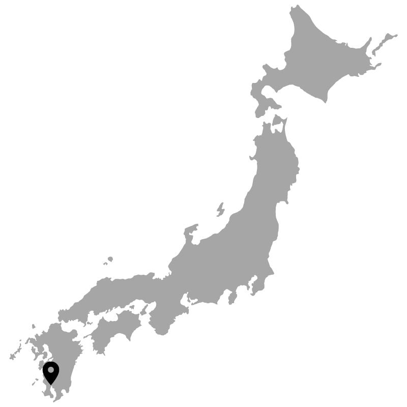 Map of Japan and the pin pointing on Kagoshima City