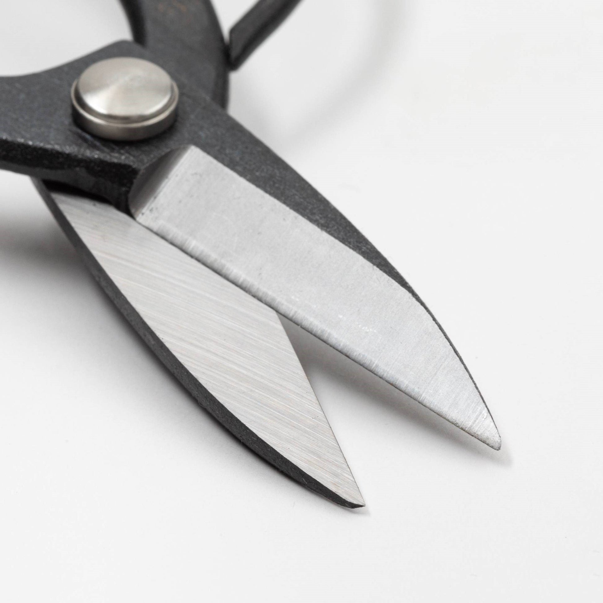 Close-up of Tsurumaki bonsai shears with sharp, polished blades and durable construction - professional-grade Japanese pruning tool.