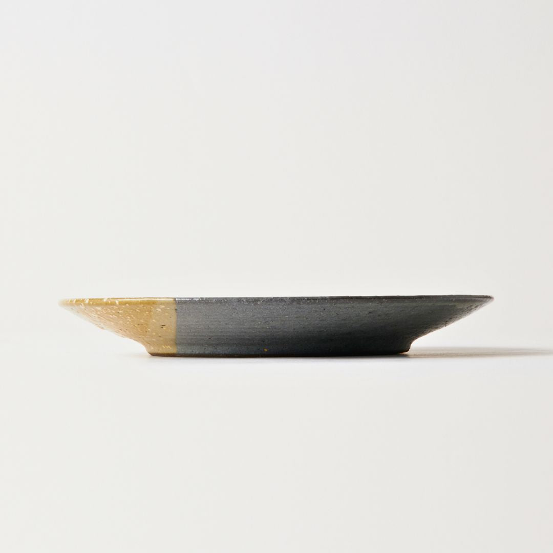 Shigaraki Mingei Medium Karashiiro Plate